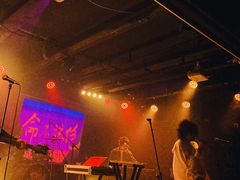 -坚果NUTS
