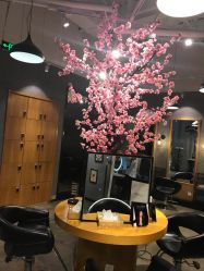 -时尚殿堂明星门店