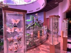 -陕西自然博物馆