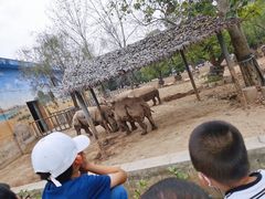 -西安秦岭野生动物园