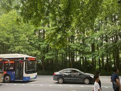 -杭州西湖风景名胜区-满觉陇四眼井