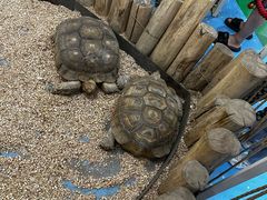 -齐齐哈尔龙沙动植物园