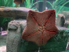 -沈阳海洋探索中心