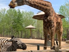 -大连森林动物园