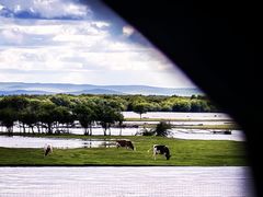 -莫尔道嘎国家森林公园