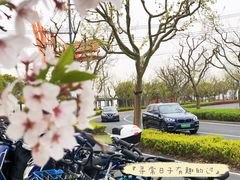 -龙美术馆(西岸馆)
