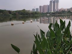 -飞来湖湿地公园