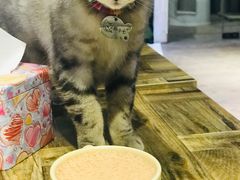 -小时光咖啡馆(开森度假森林店)