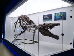 -重庆欢乐海底世界