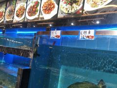 -旺达·福州菜(正大广场店)
