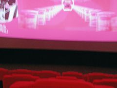 -金逸影城(武汉人信汇IMAX店)