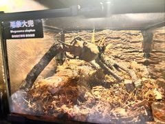 -太平洋海底世界