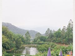 -天强农家菜馆