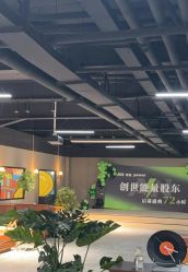 -蓝菲女子能量站·舞蹈·瑜伽·体塑