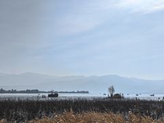 -西昌邛海湿地