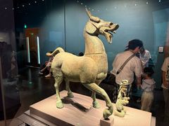 -广西壮族自治区博物馆