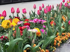 -丹东路渡口(轮渡站)