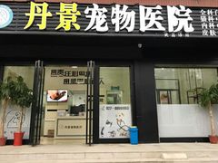 -丹景宠物医院·全科·老年病·牙科(武昌诊疗中心)