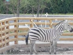 -鄂尔多斯野生动物园