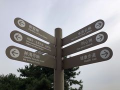 -大兴滨河森林公园