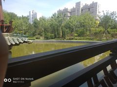 -迎泽公园