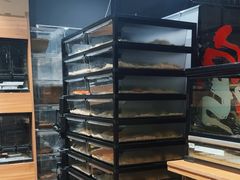 -酷以爬仙阁实体爬宠店·守宫·蜥蜴·专业繁育