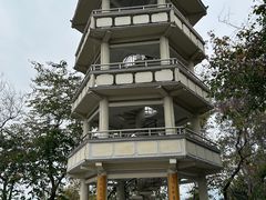 -攀枝花公园