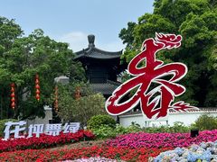 -荔湾湖公园