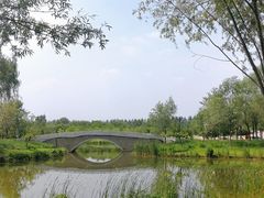 -东郊湿地公园