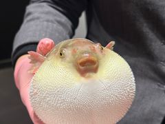 -永安鱼庄·镇江菜(东吴路店)