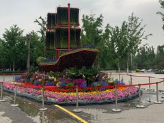 -大兴滨河森林公园