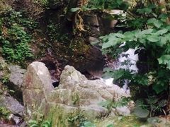 -藏龙百瀑风景区