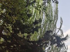 -青城公园