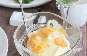 New Zealand Ice Cream Yogurt