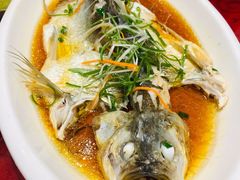 清蒸白水鱼-新虹楼饭庄(崇明陈家镇店)