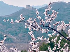 -居庸关长城