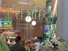 -奈雪的茶(石家庄万象城店)