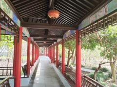 -南汇桃花村