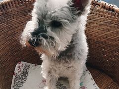 -沃尔玛购物广场(霖雨路店)