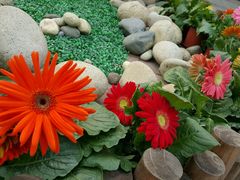 -森居forest休闲咖啡聚集地