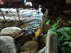 android_upload_pic-山有花啡餐厅(常营总店)