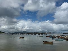 -春妮海味饭店·海景餐厅·海菜包子·大连海鲜