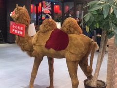 -北疆饭店(朗悦公园茂店)
