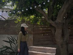 -悦哉·派对·草坪婚礼·围炉煮茶(三圣乡店)