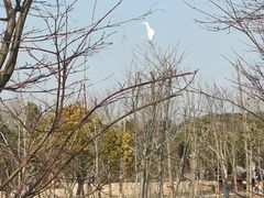 -柳鹭田园区