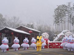 -少华山国家森林公园