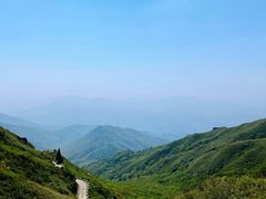 -大围山国家森林公园