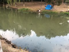 -尚贤河湿地