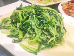 蒜香鸡毛菜-春来和(汉城南路店)