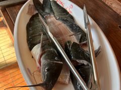 -鲜椒鱼·雅安地标性美食